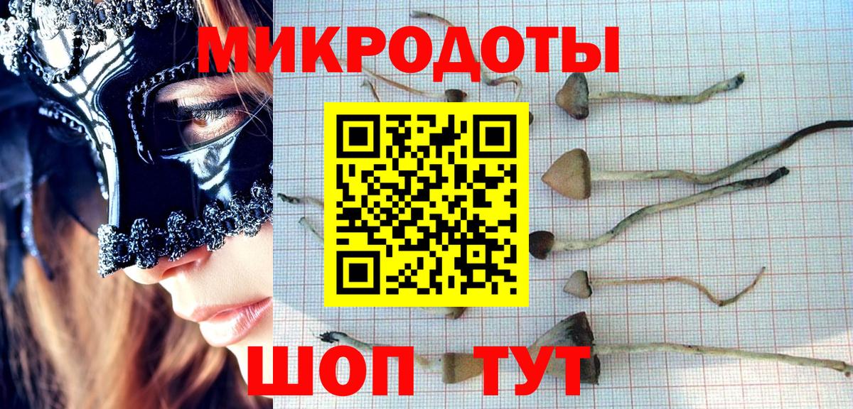 Псилоцибиновые грибы GOLDEN TEACHER  Вход с VPN  Новокубанск 